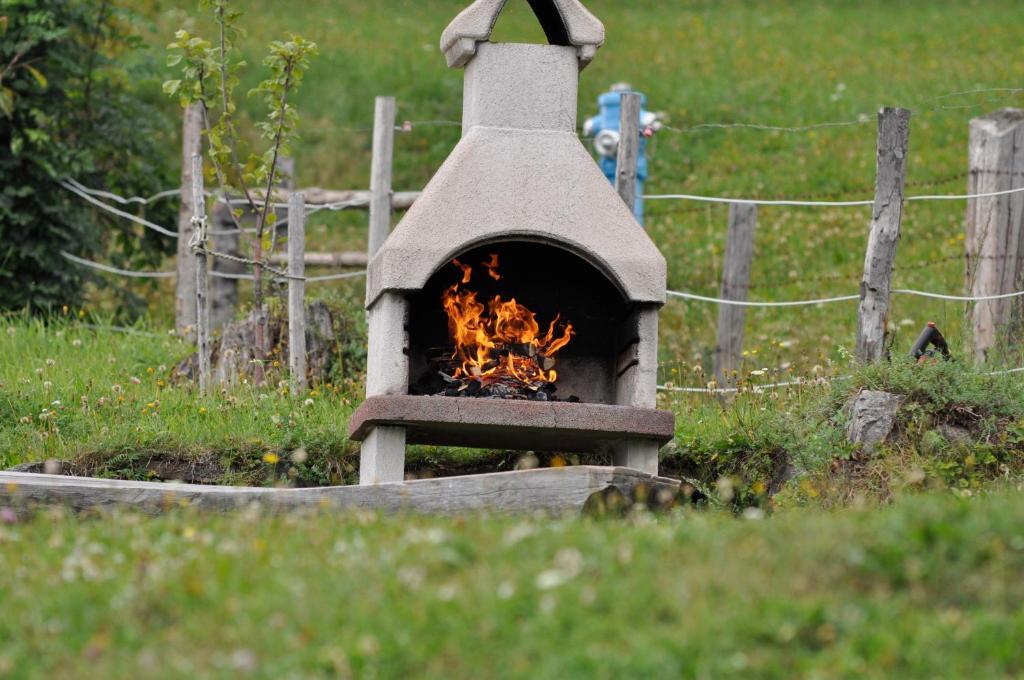Hauserhof Am Goldberg Dellach  Esterno foto