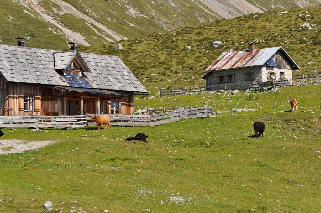 Hauserhof Am Goldberg Dellach  Esterno foto
